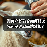 湖南产教融合如何服务先进制造业高地建设?政策解读来了 湖南产教融合如何服务先进制造业高地建设?政策解读来了
