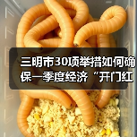 三明市30项举措如何确保一季度经济“开门红”? 三明市30项举措如何确保一季度经济“开门红”?