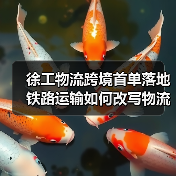 徐工物流跨境首单落地 铁路运输如何改写物流新标准? 徐工物流跨境首单落地 铁路运输如何改写物流新标准?
