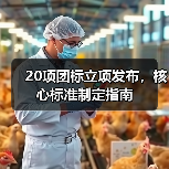 20项团标立项发布，核心标准制定指南