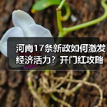 河南17条新政如何激发经济活力?开门红攻略来了 河南17条新政如何激发经济活力?开门红攻略来了