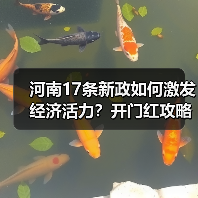 河南17条新政如何激发经济活力?开门红攻略来了 河南17条新政如何激发经济活力?开门红攻略来了