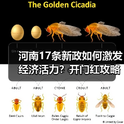 河南17条新政如何激发经济活力?开门红攻略来了 河南17条新政如何激发经济活力?开门红攻略来了