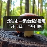 龙岩市一季度经济发展“开门红”“开门稳”如何实现?解读32条关键措施 龙岩市一季度经济发展“开门红”“开门稳”如何实现?解读32条关键措施