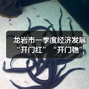 龙岩市一季度经济发展“开门红”“开门稳”如何实现?解读32条关键措施 龙岩市一季度经济发展“开门红”“开门稳”如何实现?解读32条关键措施