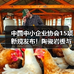 中国中小企业协会15项新规发布！陶瓷岩板与混凝土施工标准全面升级