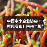 中国中小企业协会15项新规发布！陶瓷岩板与混凝土施工标准全面升级