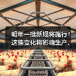 明年一批新规将施行!这些变化将影响生产、生活 明年一批新规将施行!这些变化将影响生产、生活