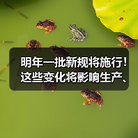 明年一批新规将施行!这些变化将影响生产、生活 明年一批新规将施行!这些变化将影响生产、生活