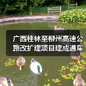 广西桂林至柳州高速公路改扩建项目建成通车 广西桂林至柳州高速公路改扩建项目建成通车