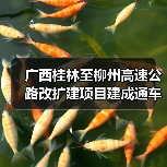 广西桂林至柳州高速公路改扩建项目建成通车 广西桂林至柳州高速公路改扩建项目建成通车
