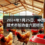 2024年1月25日，中国技术市场协会六项标准正式施行