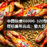 中国铁建R8000-320型塔机首吊完成:最大起重量320吨 中国铁建R8000-320型塔机首吊完成:最大起重量320吨