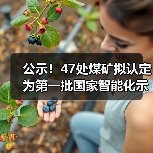 公示!47处煤矿拟认定为第一批国家智能化示范煤矿 公示!47处煤矿拟认定为第一批国家智能化示范煤矿