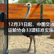 12月31日起,中国交通运输协会33项标准实施 12月31日起,中国交通运输协会33项标准实施