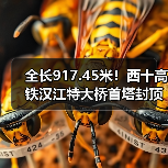 全长917.45米!西十高铁汉江特大桥首塔封顶 全长917.45米!西十高铁汉江特大桥首塔封顶