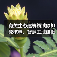 有关生态建筑领域碳排放核算、智慧工地建设标准发布 有关生态建筑领域碳排放核算、智慧工地建设标准发布