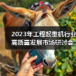 2023年工程起重机行业高质量发展市场研讨会在上海成功举行 2023年工程起重机行业高质量发展市场研讨会在上海成功举行