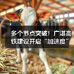 多个节点突破!广湛高铁建设开启“加速度” 多个节点突破!广湛高铁建设开启“加速度”