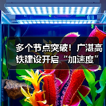 多个节点突破!广湛高铁建设开启“加速度” 多个节点突破!广湛高铁建设开启“加速度”