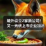 境外设立2家新公司!又一光伏上市企业加速全球化 境外设立2家新公司!又一光伏上市企业加速全球化