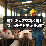 境外设立2家新公司!又一光伏上市企业加速全球化 境外设立2家新公司!又一光伏上市企业加速全球化