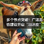 多个节点突破!广湛高铁建设开启“加速度” 多个节点突破!广湛高铁建设开启“加速度”