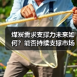 煤炭需求支撑力未来如何?能否持续支撑市场? 煤炭需求支撑力未来如何?能否持续支撑市场?