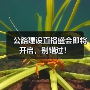 公路建设直播盛会即将开启,别错过! 公路建设直播盛会即将开启,别错过!