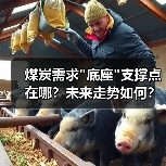 煤炭需求"底座"支撑点在哪?未来走势如何? 煤炭需求"底座"支撑点在哪?未来走势如何?