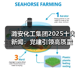 潞安化工集团2025十大新闻:党建引领高质量发展路径解析 潞安化工集团2025十大新闻:党建引领高质量发展路径解析