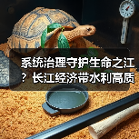 系统治理守护生命之江?长江经济带水利高质量发展路径 系统治理守护生命之江?长江经济带水利高质量发展路径