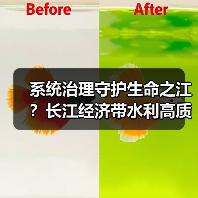 系统治理守护生命之江?长江经济带水利高质量发展路径 系统治理守护生命之江?长江经济带水利高质量发展路径