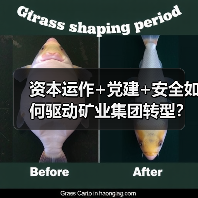资本运作+党建+安全如何驱动矿业集团转型? 资本运作+党建+安全如何驱动矿业集团转型?