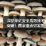 深部采矿安全高效技术突破!国家重点研发国际合作项目成功立项 深部采矿安全高效技术突破!国家重点研发国际合作项目成功立项