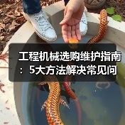 工程机械选购维护指南:5大方法解决常见问题 工程机械选购维护指南:5大方法解决常见问题