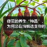 你买的养生“神品”,为何总在悄悄透支你的健康账户? 你买的养生“神品”,为何总在悄悄透支你的健康账户?