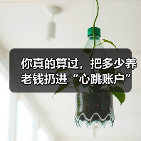 你真的算过,把多少养老钱扔进“心跳账户”才不后悔吗? 你真的算过,把多少养老钱扔进“心跳账户”才不后悔吗?
