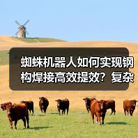 蜘蛛机器人如何实现钢构焊接高效提效?复杂环境解决方案 蜘蛛机器人如何实现钢构焊接高效提效?复杂环境解决方案