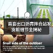 首套出口沥青拌合站发货前细节全揭秘 首套出口沥青拌合站发货前细节全揭秘