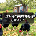 企业合作共赢如何获得行业认可? 企业合作共赢如何获得行业认可?
